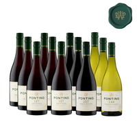 The Milestone Collection - 3 Months | Mixed 12 Pack